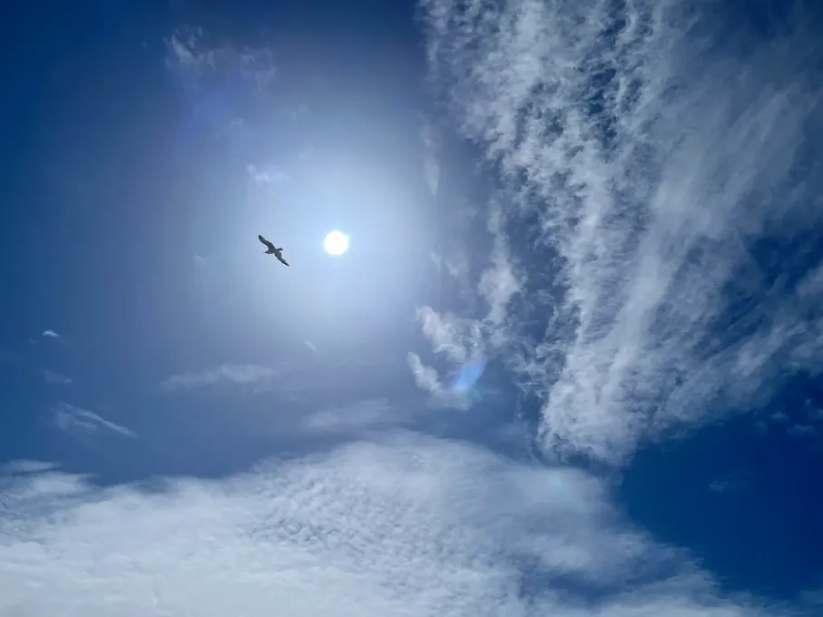 img-0676.webp